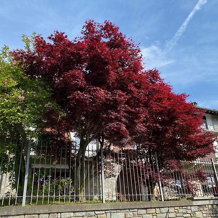 Pessinetto La Casa Di Nina - Travesヴィラ エクステリア 写真